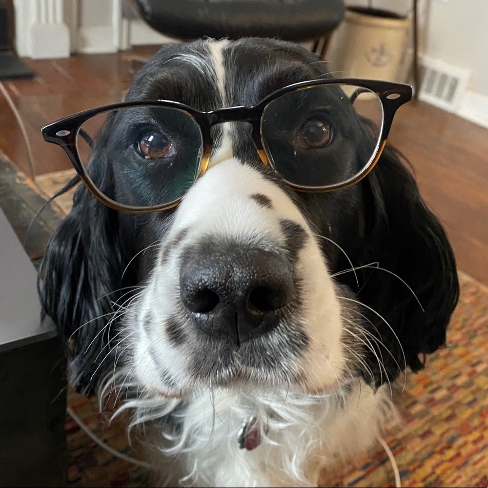 Meet your Posher, Rachel